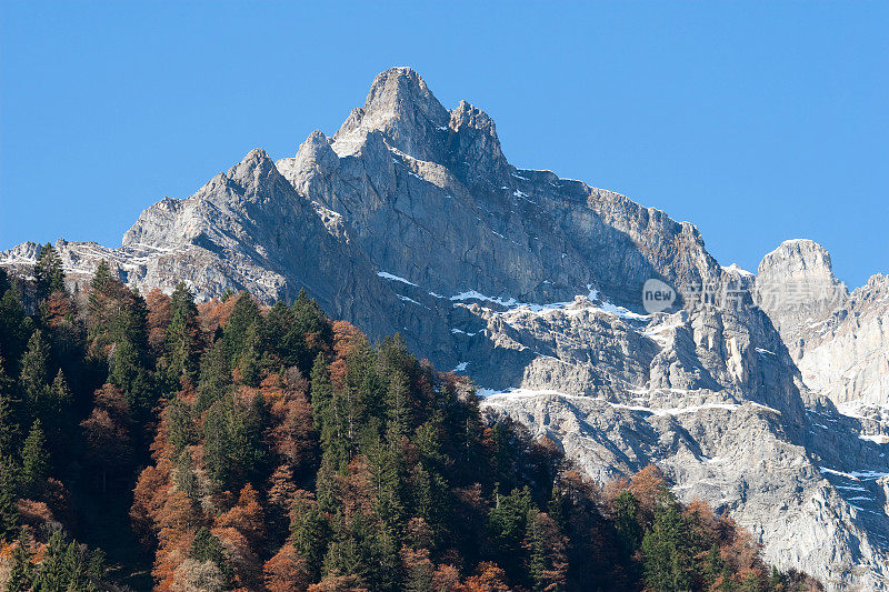 五颜六色的印度夏季森林和Glaernisch Massiv中央阿尔卑斯山，瑞士